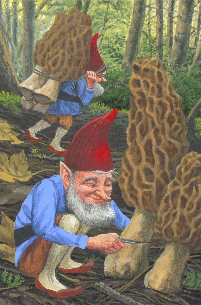 Morel Movers