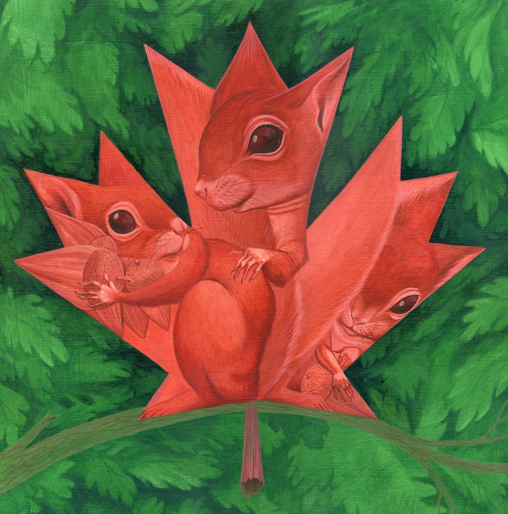 Red Squirrel Red Maple Leaf