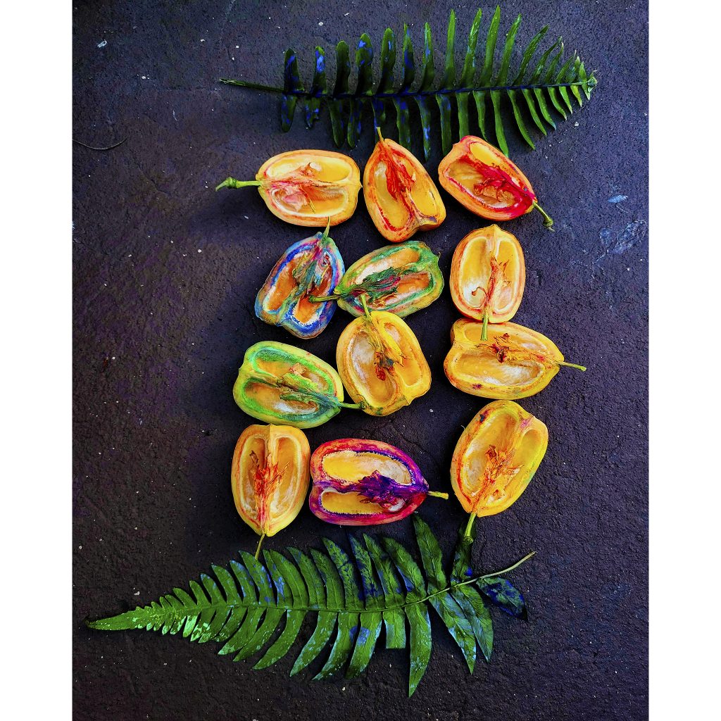 Ackee Walk by Ryan O'Neil