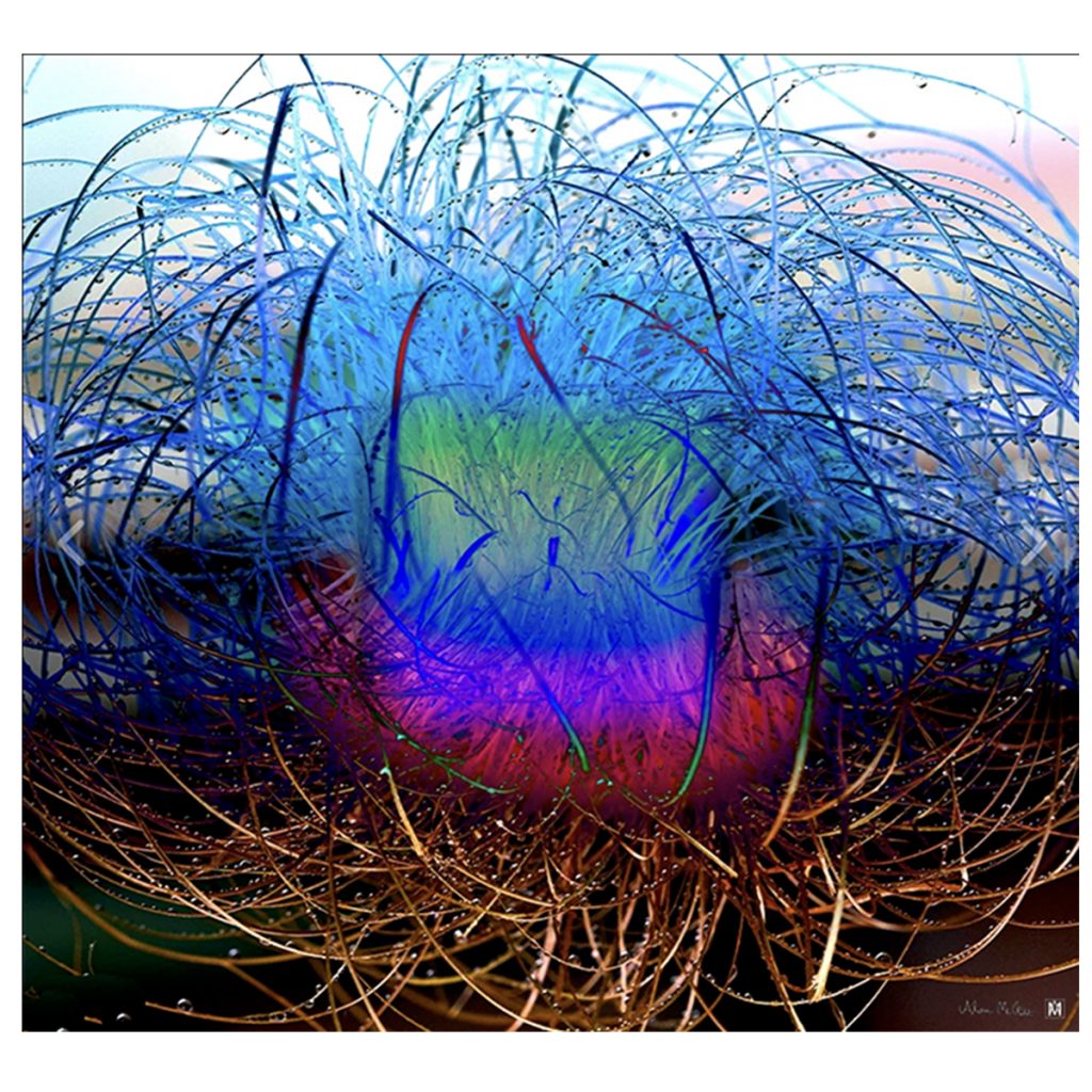 Nest of the Phoenix by Alan McKee