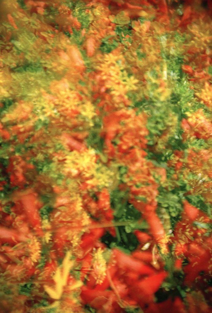 Tapisserie rouge