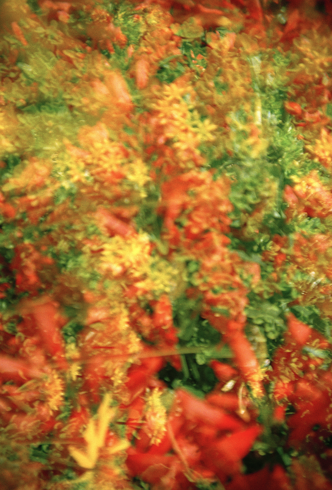 Tapisserie rouge