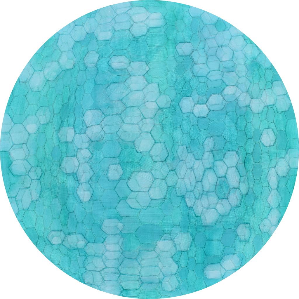 Fennel (cells magnified x240)