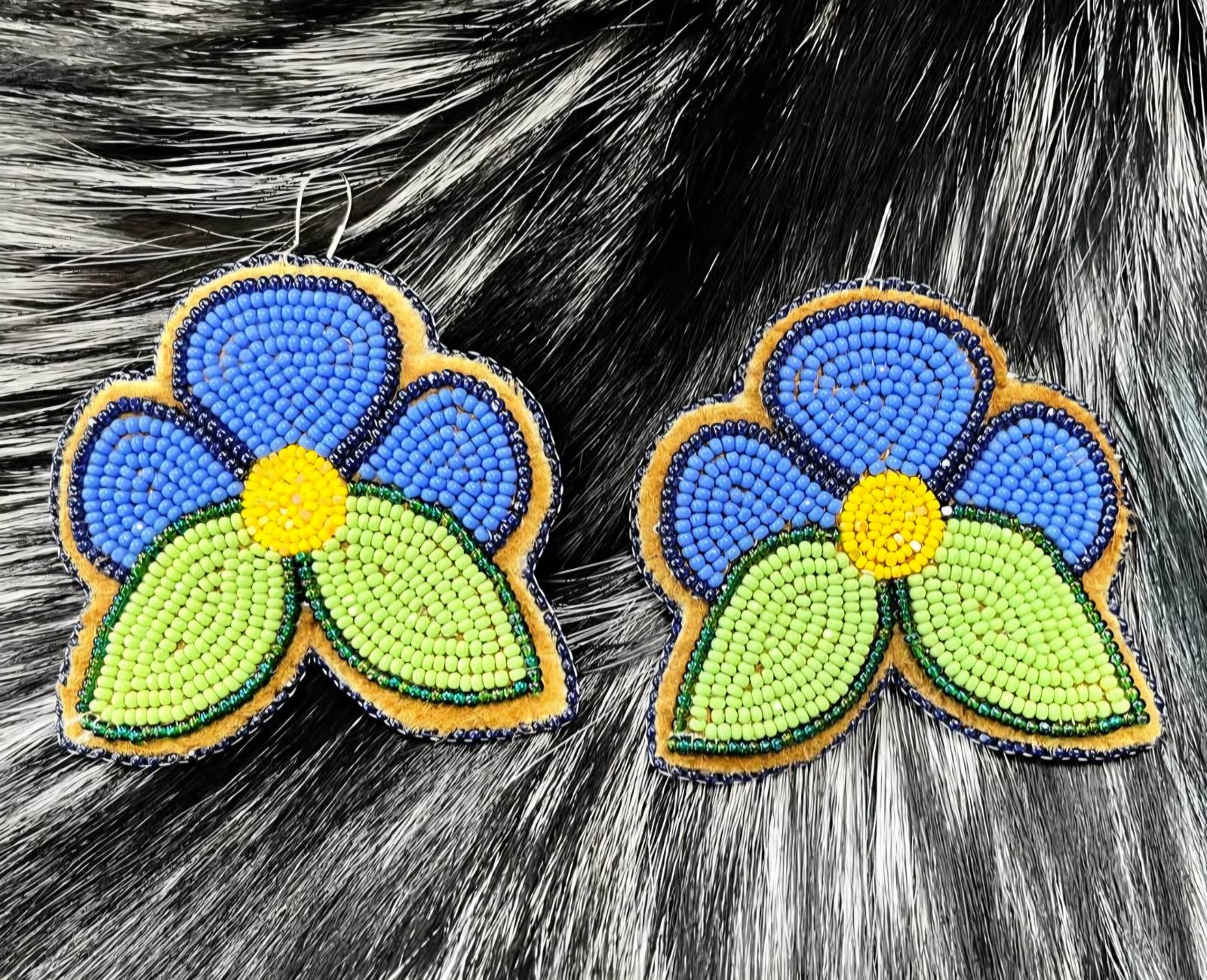 Northern Forget-Me-Not