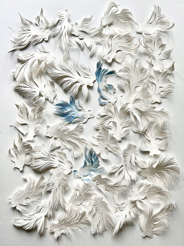 Murmurations