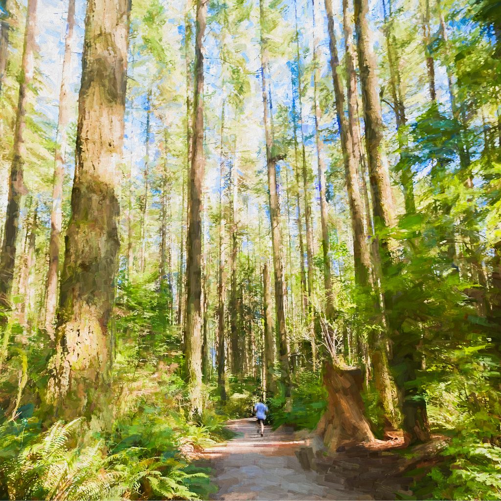 The Forest for the Trees