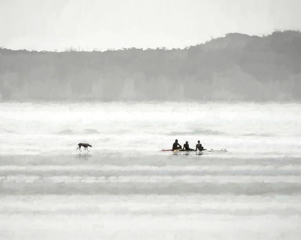 Wetsuits, Tofino