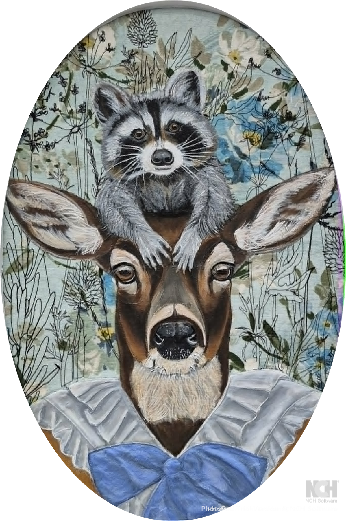 Deer and Raccoon