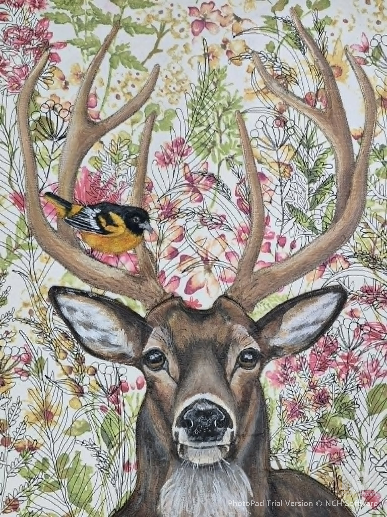 Deer with Oriole