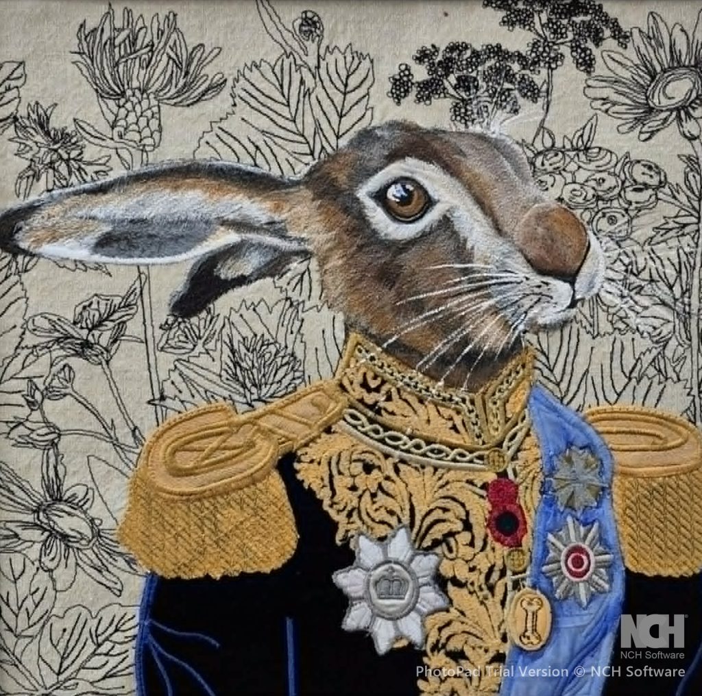 Military Hare