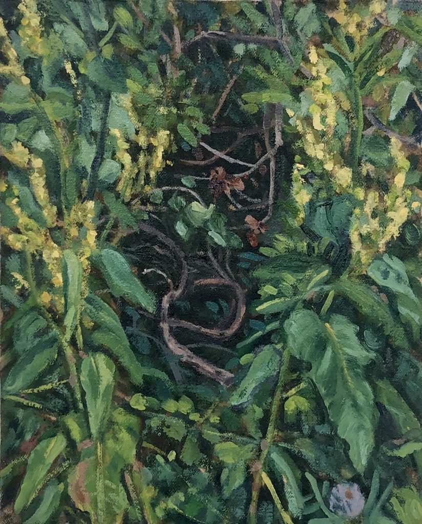Rachel's Garden
