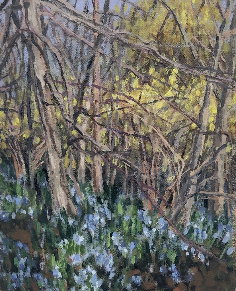 Trinity Bellwoods