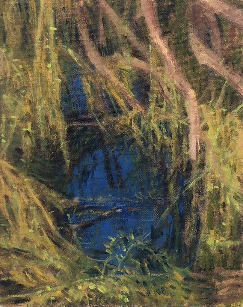Willow