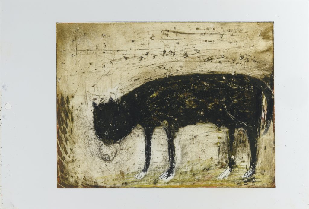 Old Dog