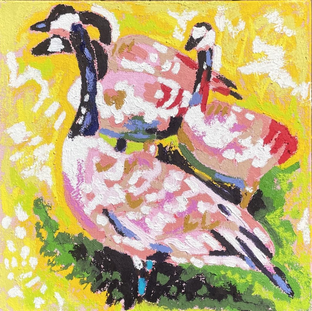 geese