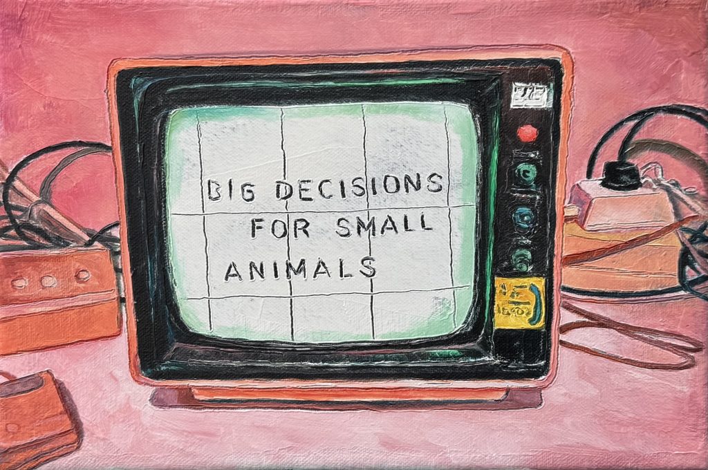 Big Decisions for Small Animals