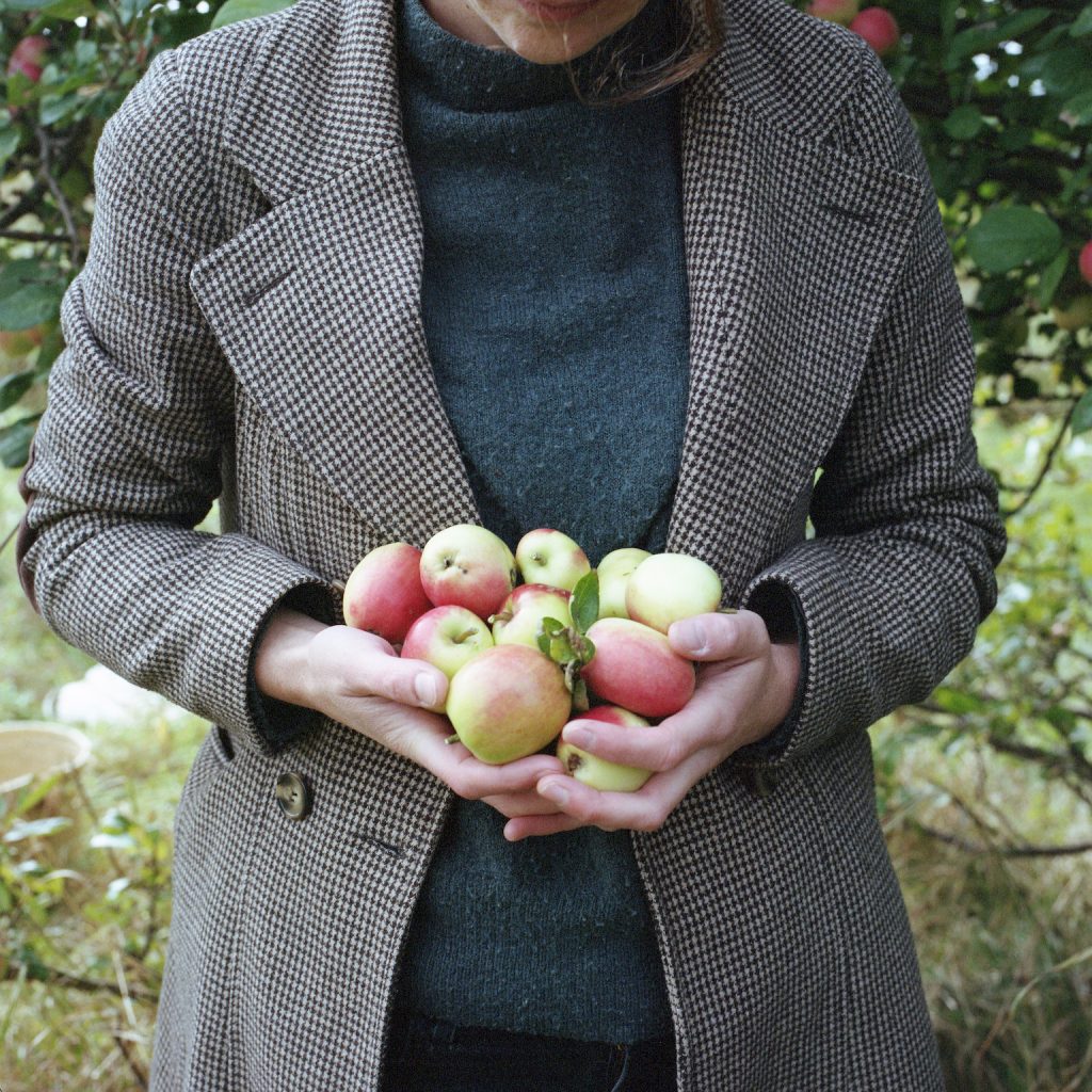 Hands Full of Apples