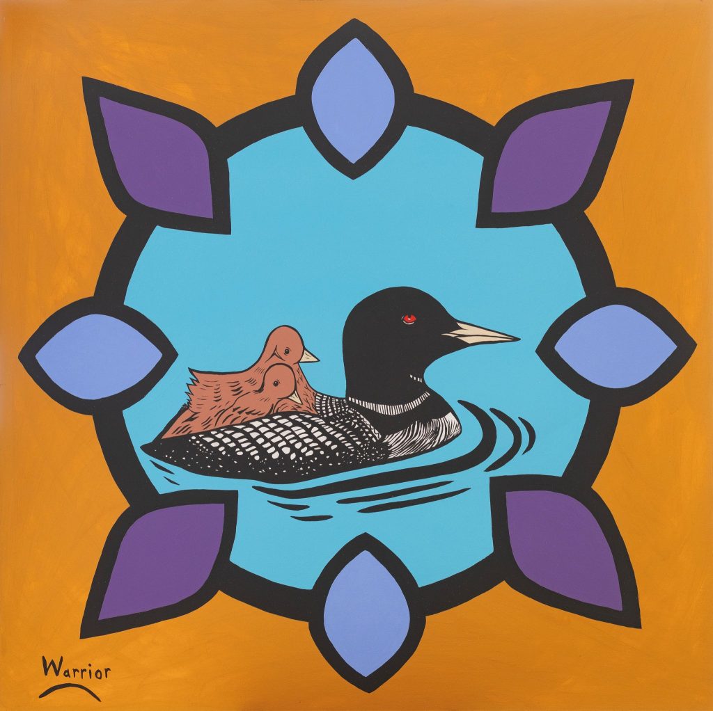 Loon with chicks/ Kwimu