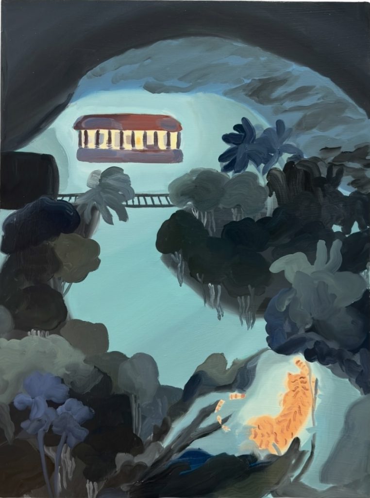 Night Train at Deoli