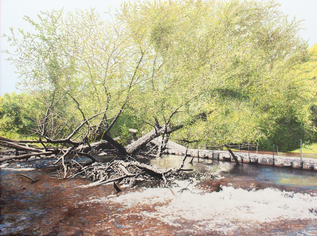 Pont flottant et saule qui penche (Parc Régional de la Rivière du Nord, Laurentides, QC)