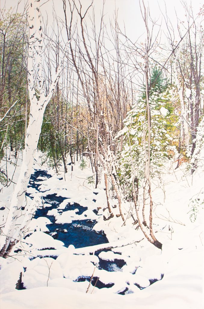 Réveil de la rivière au printemps (Charlesbourg, QC)