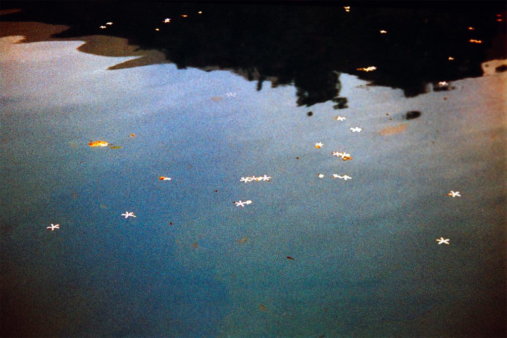 Floral River